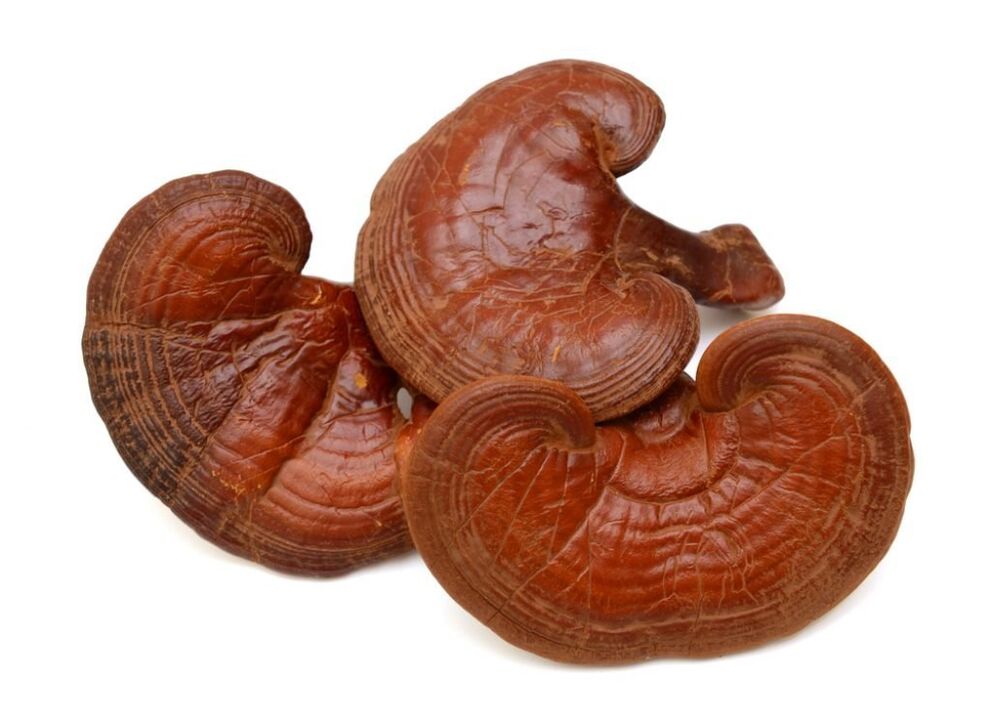 Weiprost contém cogumelos reishi